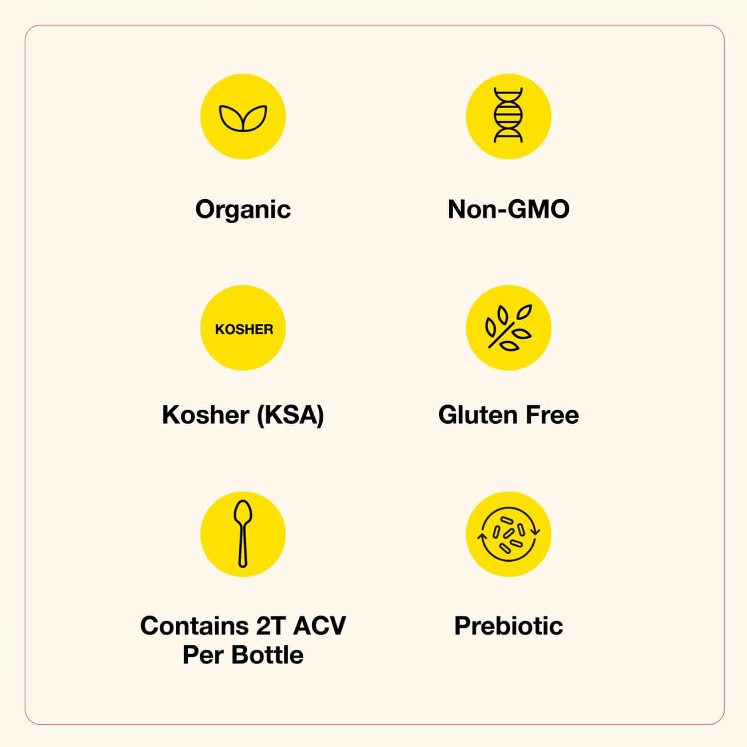 Bragg Organic Apple Cider Vinegar Refreshers, Ginger Lemon Honey, 16 fl oz - Görsel 4